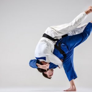 Spectacle Téléthon : La légende des arts martiaux