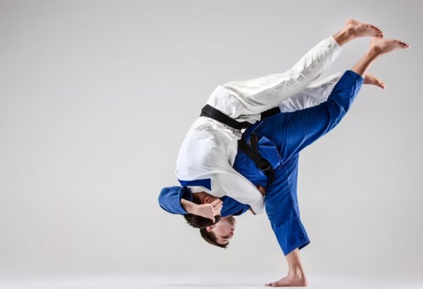 Spectacle Téléthon : La légende des arts martiaux