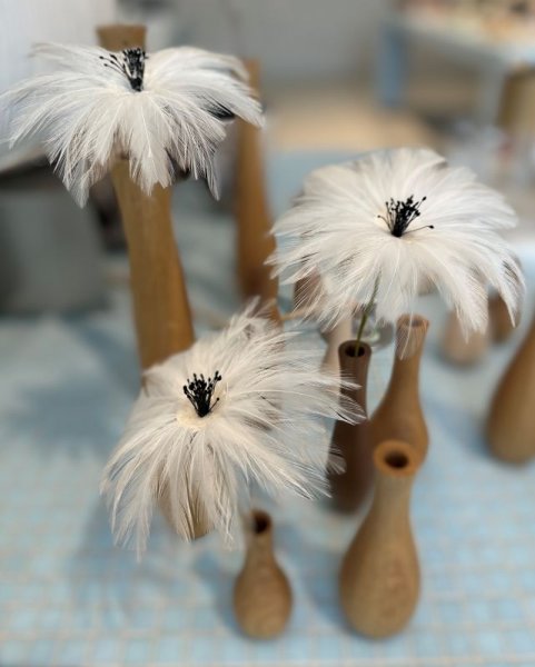 Atelier : Plumasserie