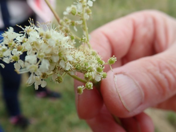 Entrez, c’est tout vert !