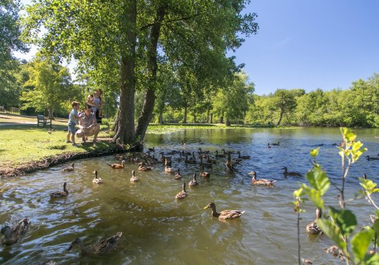 Espace Naturel Départemental : Le Sentier du Héron