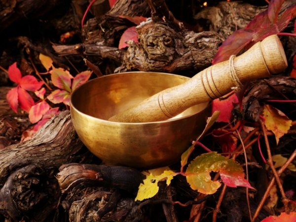 Bain sonore pour les petits – Parents & enfants