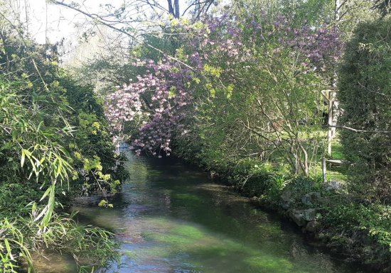 La Maisonnette du Cèdre