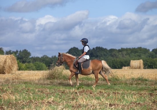 Centre équestre Les Chevaux de Saint Victor