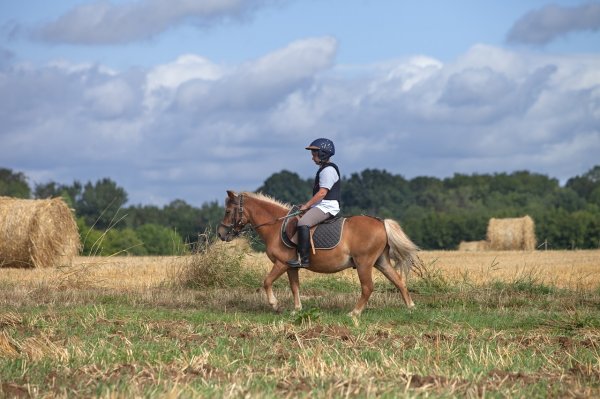 Centre équestre Les Chevaux de Saint Victor