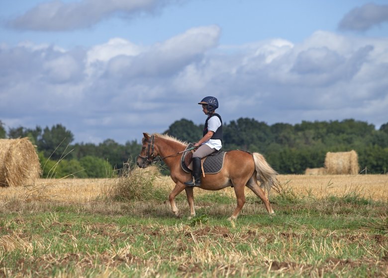 Centre équestre Les Chevaux de Saint Victor