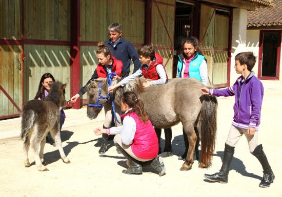 Centre Equestre de Verneuil-sur-Avre