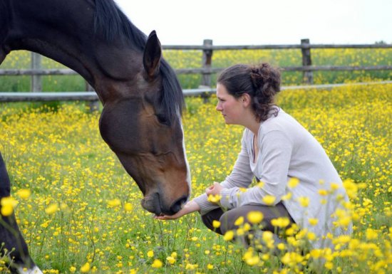 Centre Equestre de Verneuil-sur-Avre