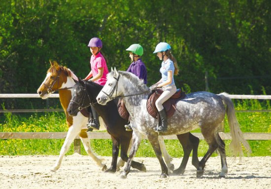 Centre Equestre de Verneuil-sur-Avre