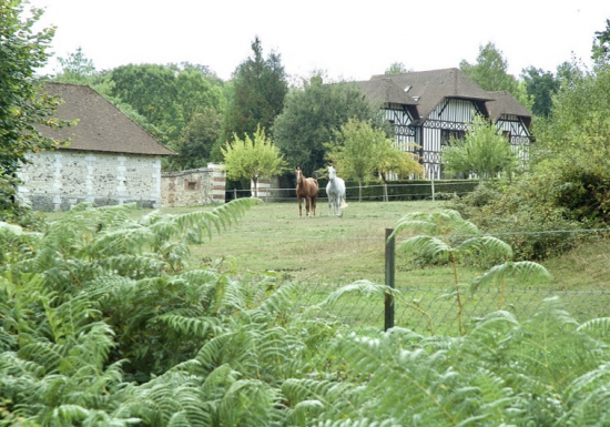 Château d'Argeronne Domaine du Château d’Argeronne