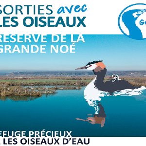 Journée mondiale des zones humides