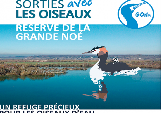 Journée mondiale des zones humides