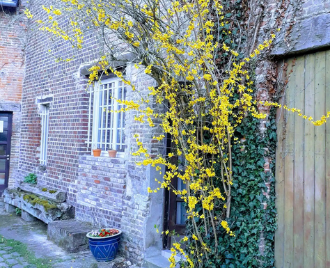 Mme Toubeau Chambre chez l’habitant à Pîtres