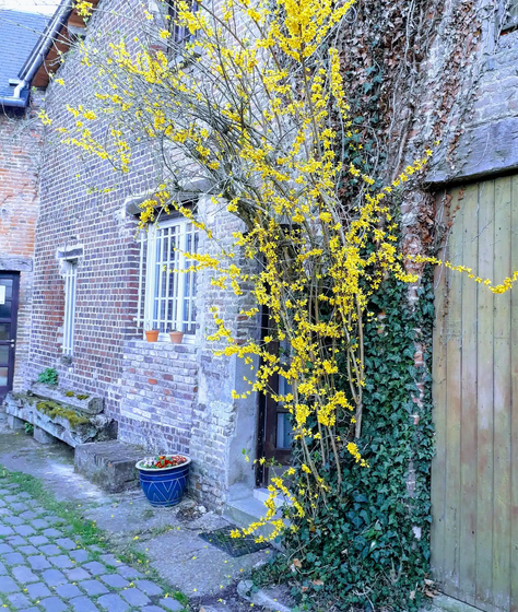 Chambre chez l’habitant à Pîtres