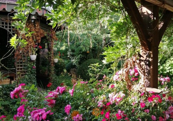 Chambres d’hôtes le Frêne Fringant