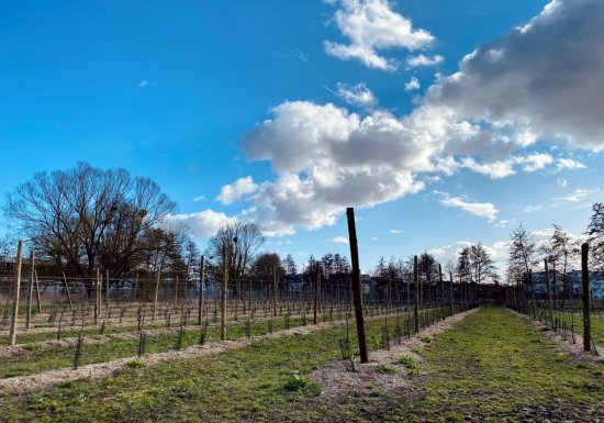 ML VITTORI La Ferme Pédagogique de l’Epte