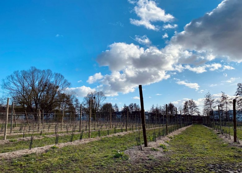 La Ferme Pédagogique de l’Epte