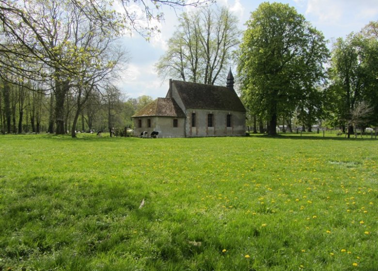 Chemin de l’arboretum