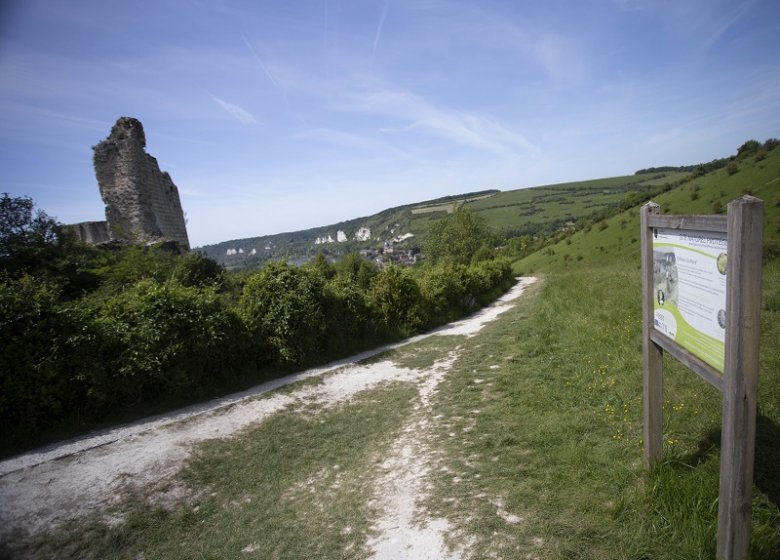 Espace Naturel Sensible : le sentier du Genévrier