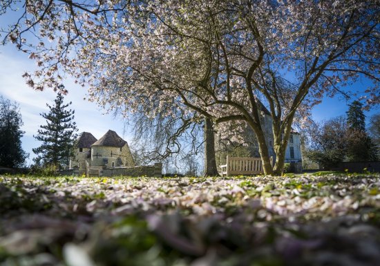 Arboretum d’Harcourt