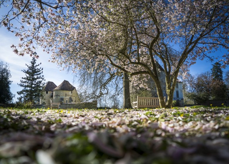 Arboretum d’Harcourt