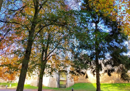 Parc du Château de Gisors