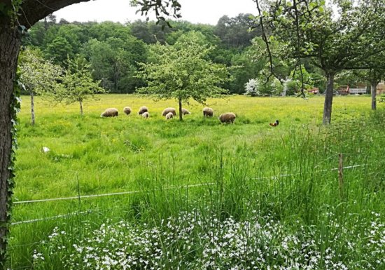 Stéphanie Wappler Gîte Chaumes de l’Iton
