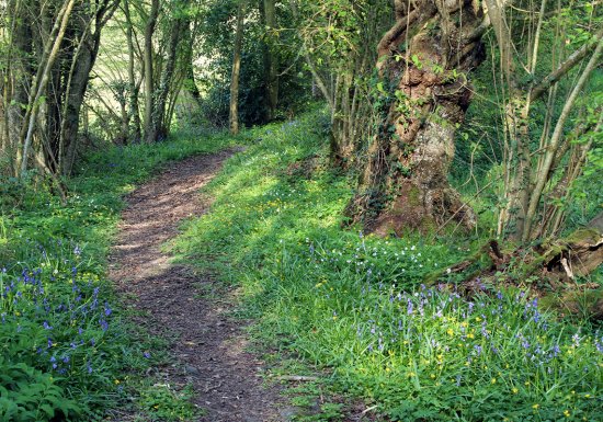 Chemin du Caillou Marais