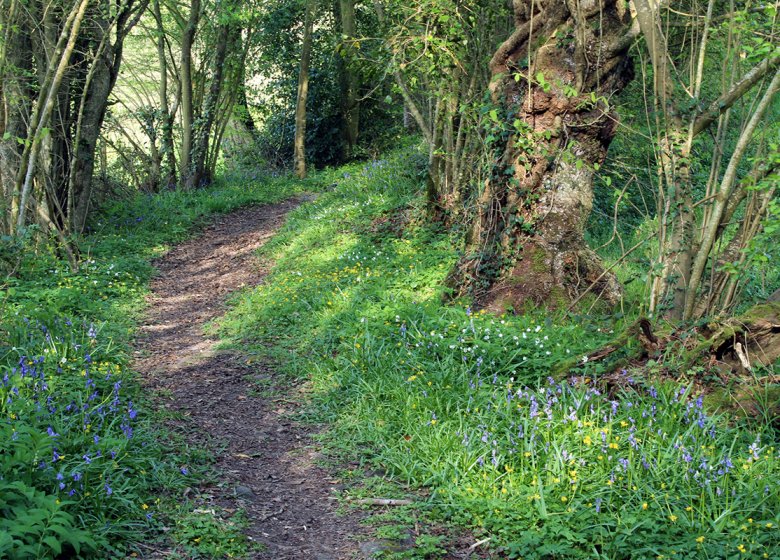 Chemin du Caillou Marais