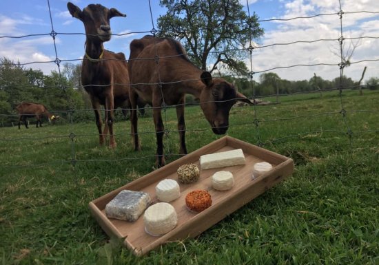 Chèvrerie du Quesney