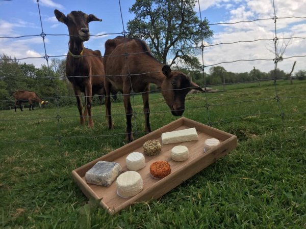 Chèvrerie du Quesney