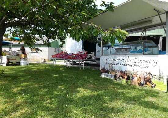 Chèvrerie du Quesney