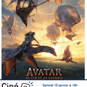 Ciné relax : Avatar 3 de feu et de cendres