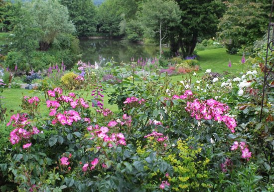 Clos du Martin Pêcheur