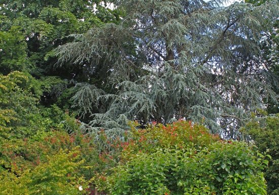 Clos du Martin Pêcheur