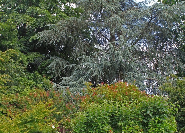 Clos du Martin Pêcheur