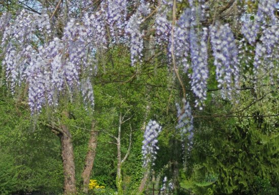 Clos du Martin Pêcheur