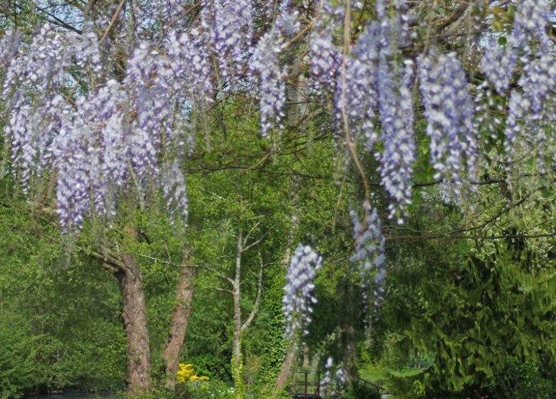 Clos du Martin Pêcheur