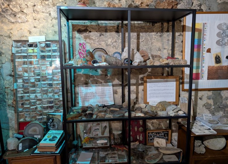 Visite de la Galerie des Curiosités Larraincy