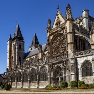 Exposition lumineuse sur la collégiale Notre-Dame
