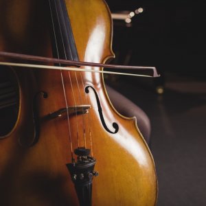 Concert du Nouvel An : Valses autour du monde !