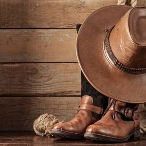 © Freepik Bal country