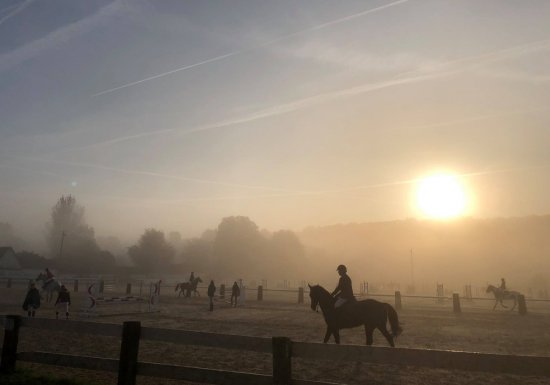 Centre équestre de la Bonde Centre Équestre de la Bonde