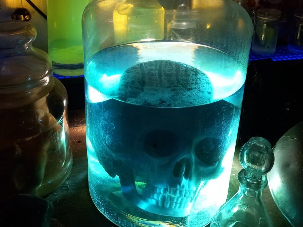Halloween, même pas peur ! à la Galerie des Curiosités Larraincy