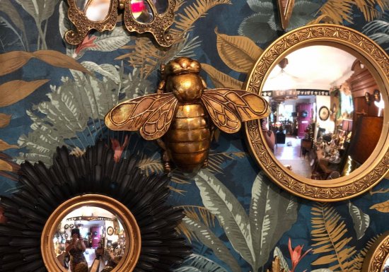 Curiosités sous cloche – Décoration artisanale