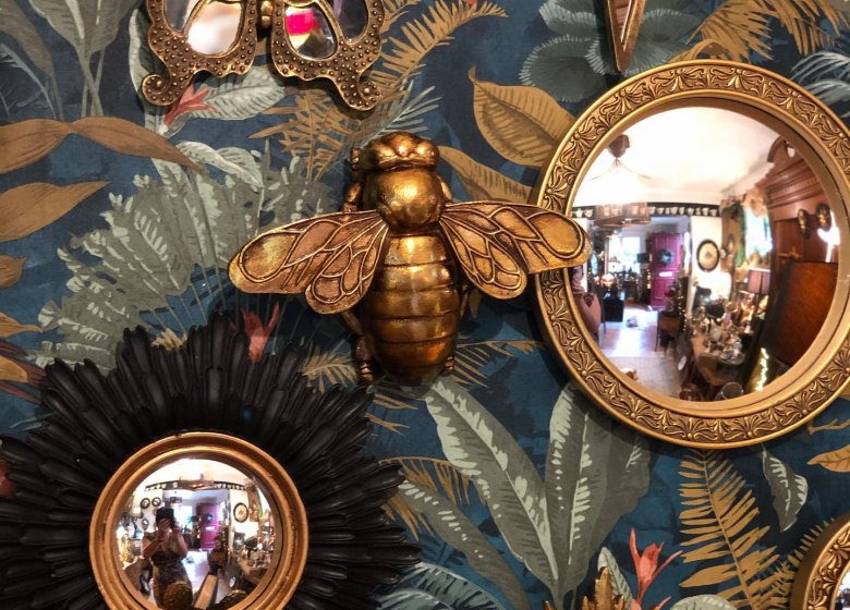 Curiosités sous cloche – Décoration artisanale