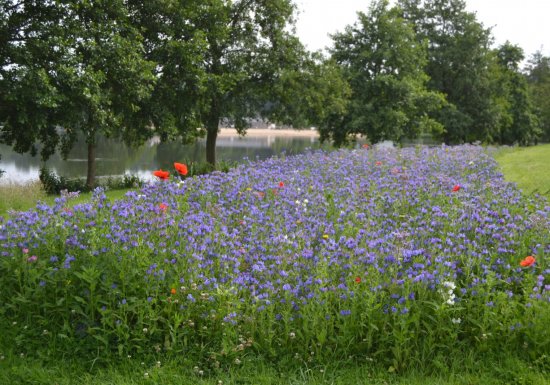 Circuit de l’Abbaye du Bec Hellouin