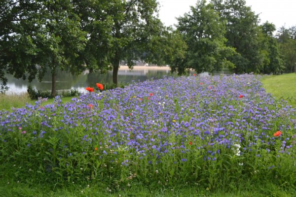 Circuit de l&rsquo;Abbaye du Bec Hellouin