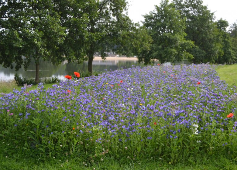 Circuit de l’Abbaye du Bec Hellouin