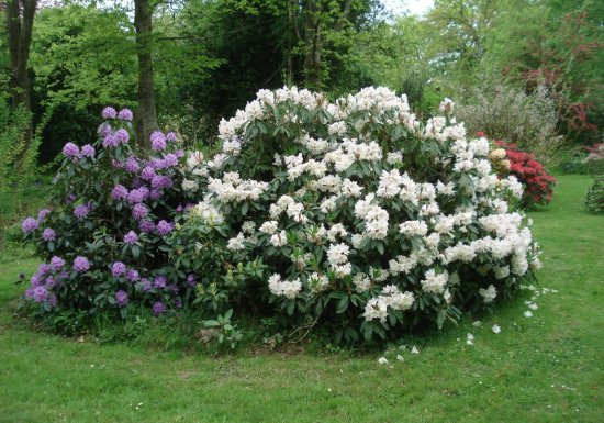 Jardin de la Vallée